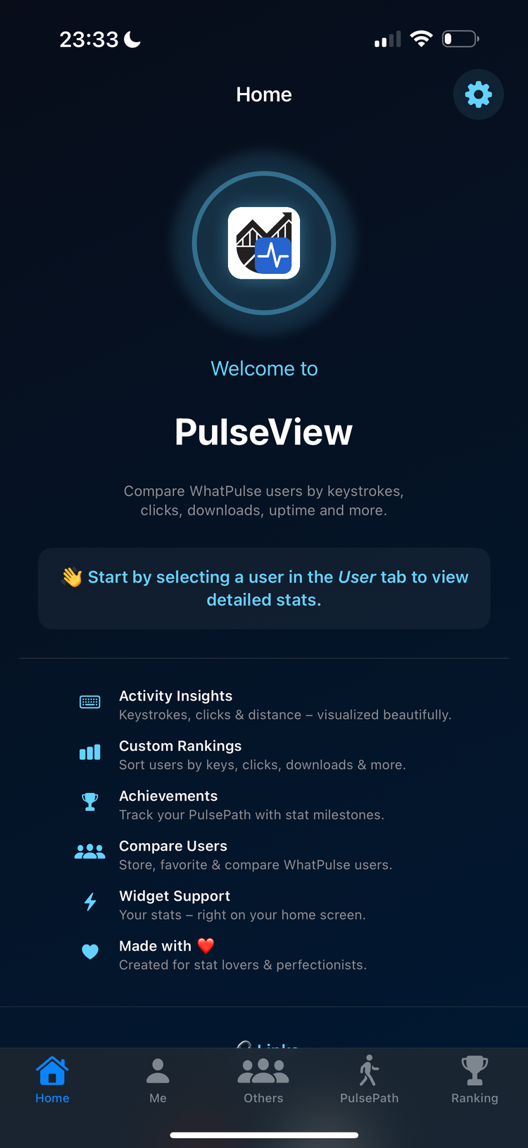 PulseView Screenshot 1